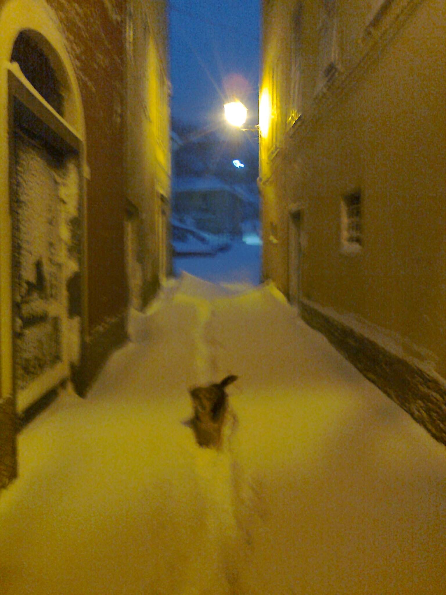 Schnee Varese Ligure
